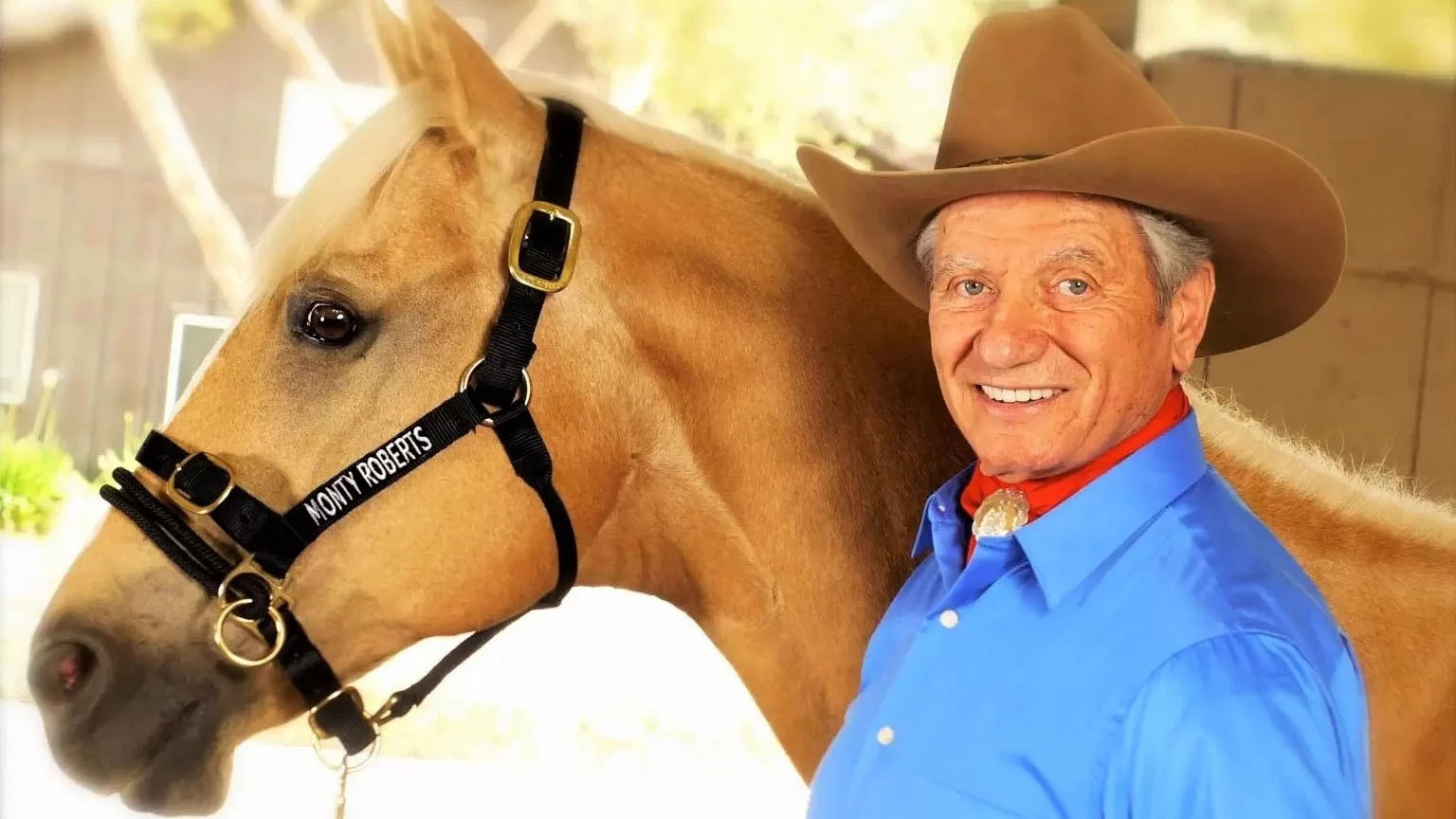 Foal Handling with Monty Roberts